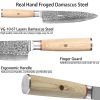 Damascus Chef Knife, 8 Inch Japanese Kitchen Knife With 67 Layers 10CR15MOV High Carbon Steel, Razor Sharp Cooking Knife With Pakkawood Handle